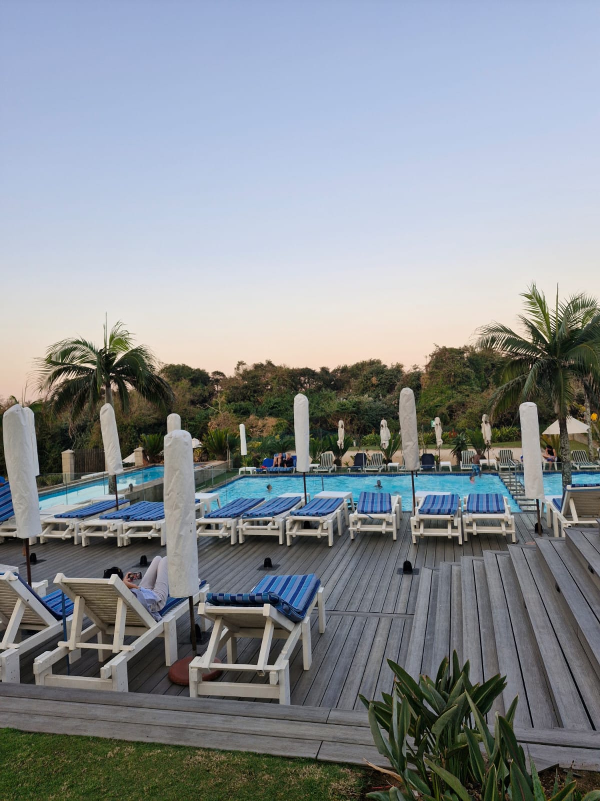 WhatsApp Image 2024-12-29 at 17.48.50 (1)