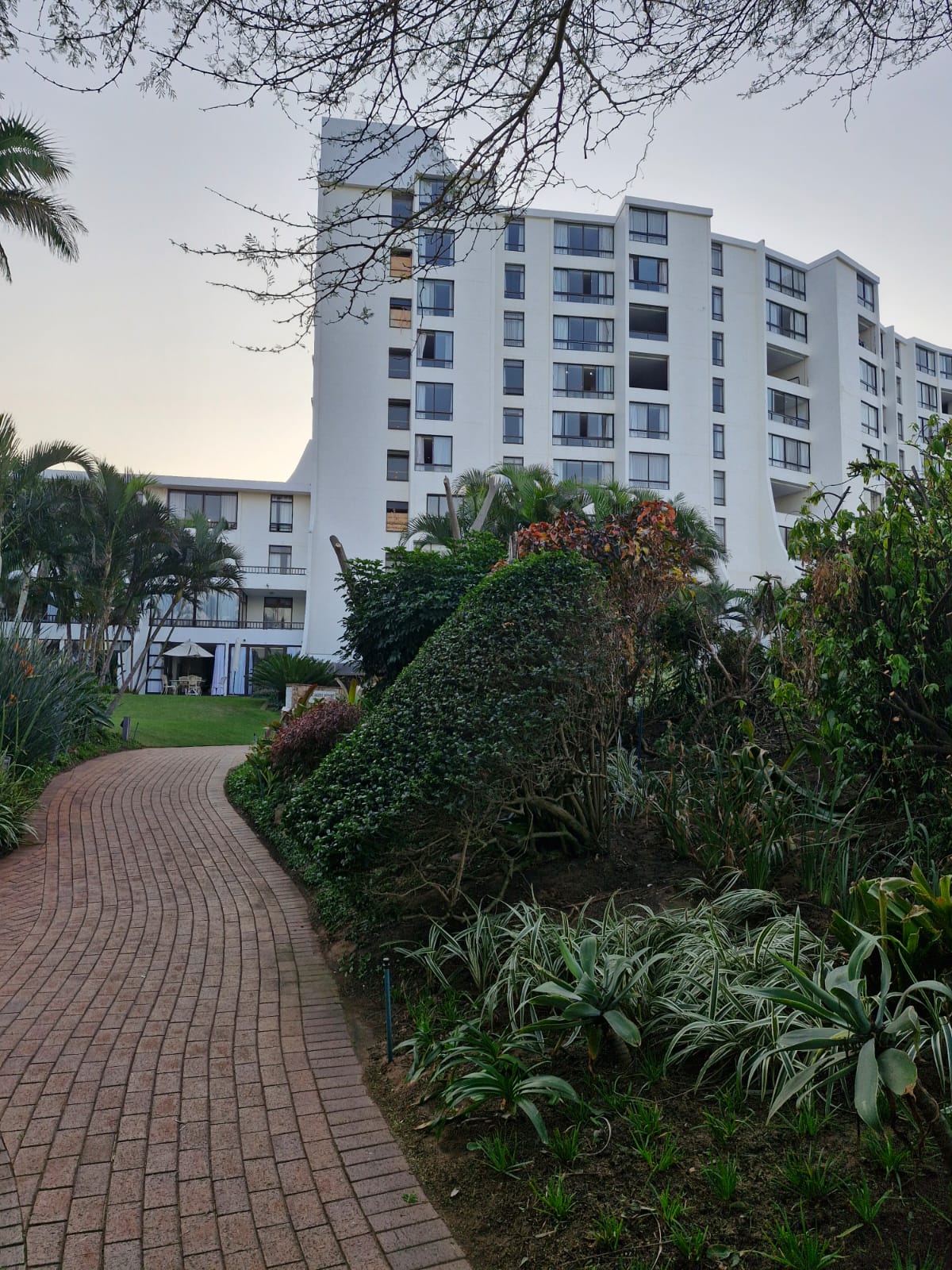 WhatsApp Image 2024-12-29 at 17.48.51 (1)